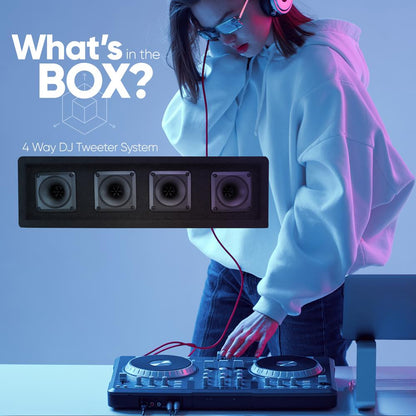 4-Way DJ Tweeter System