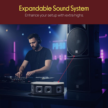 6-Way DJ Tweeter System