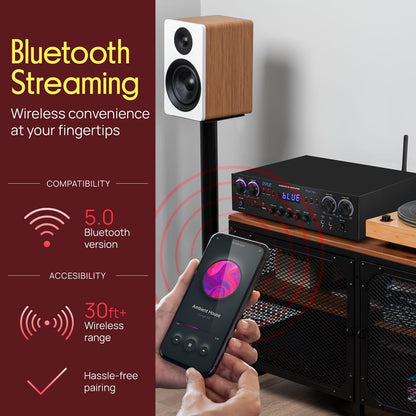 Wireless BT Streaming Stereo Amplifier R