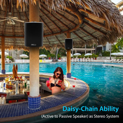 6.5'' Indoor/Outdoor Wall Mount Speakers