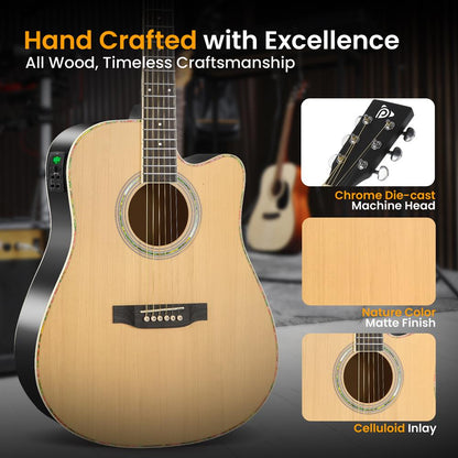 Electric Acoustic Guitar Kit with Amplif