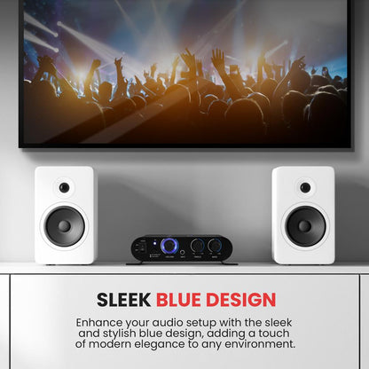 Bluetooth Audio Amplifier