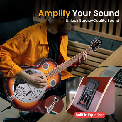 Acoustic Resonator Guitar